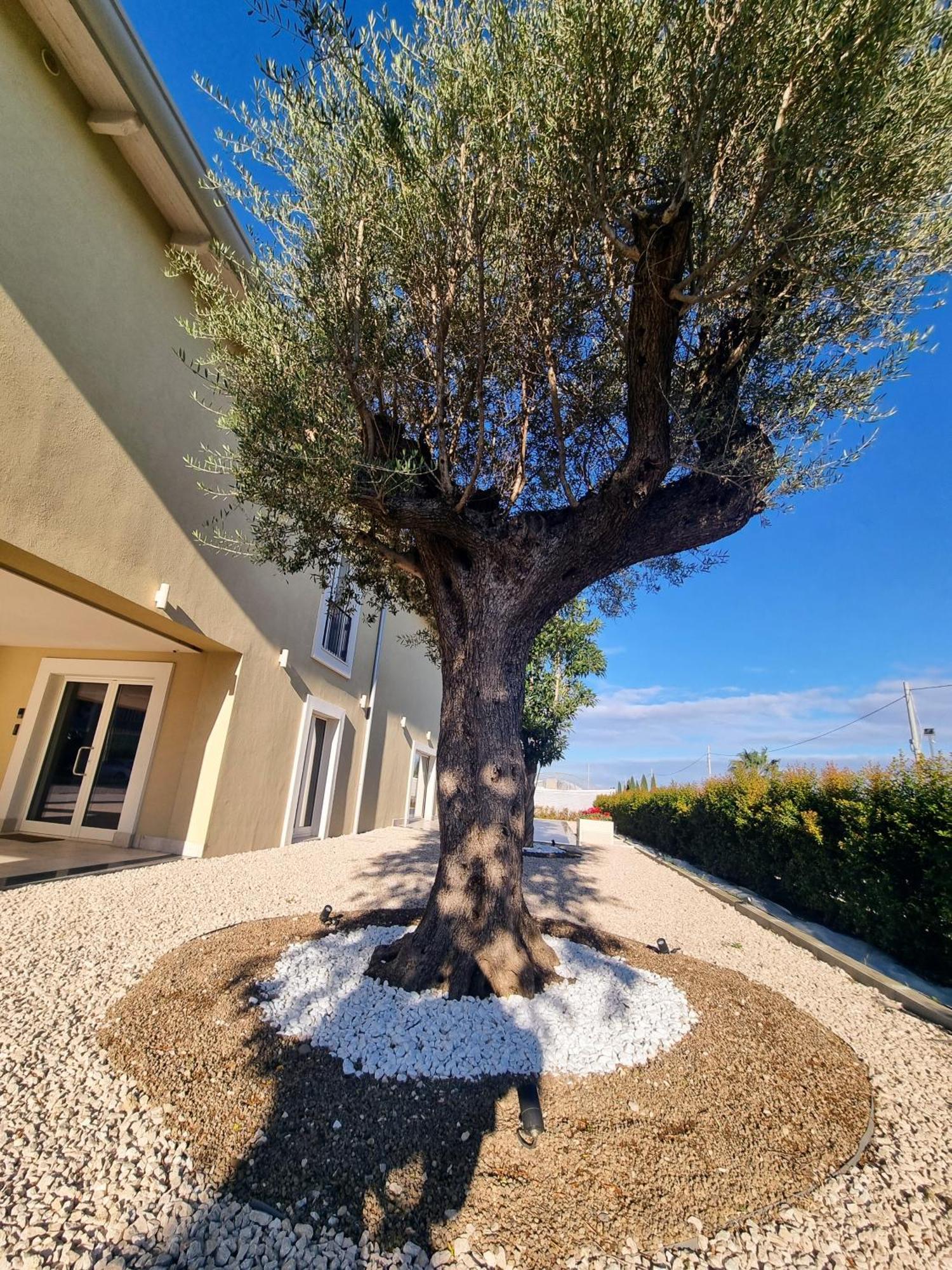 Ro Agrimaison Volla  Εξωτερικό φωτογραφία